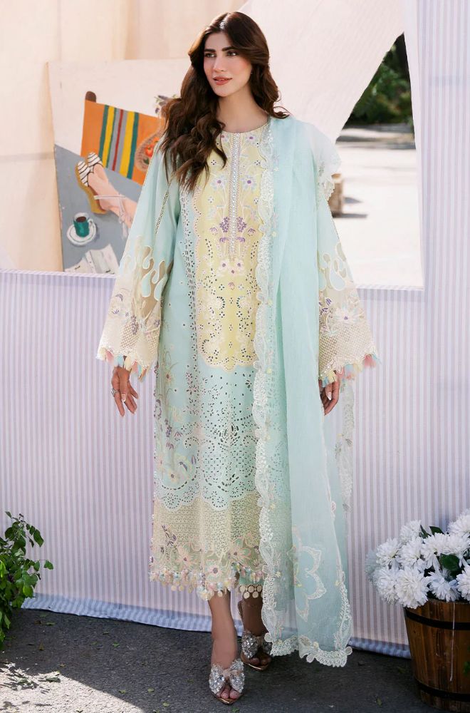 BIN ILYAS EMBROIDERY 3 PIECE LOWN UNSTITCHED SUIT